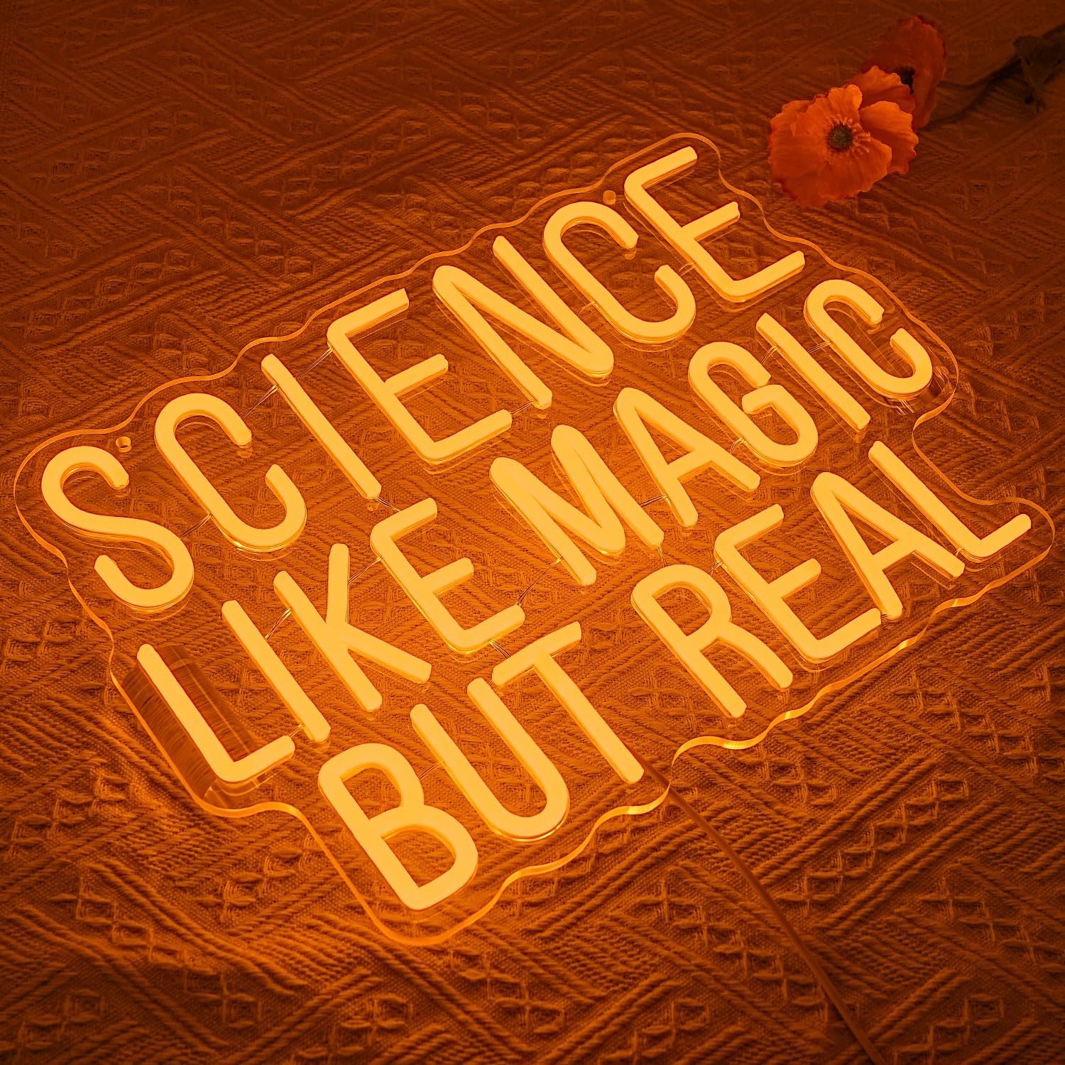 Science Like Magic But Real Ne - Science Hobbyist ulasan dan harga