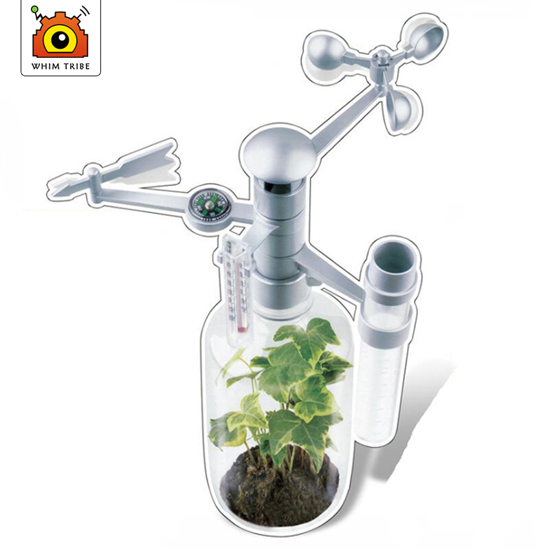 DIY ToySet Intellectual  Scien - Science Nature ulasan dan harga