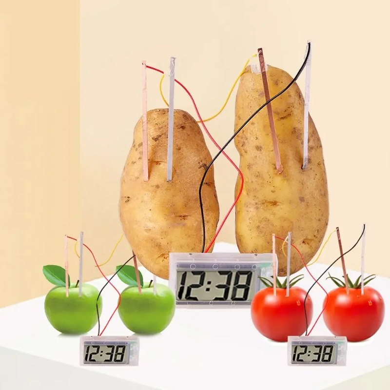 New Kid Montessori Toy Fruit P - Science Nature ulasan dan harga