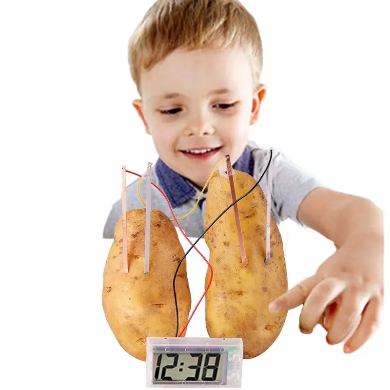 New Kid Montessori Toy Fruit P - Science Nature ulasan dan harga