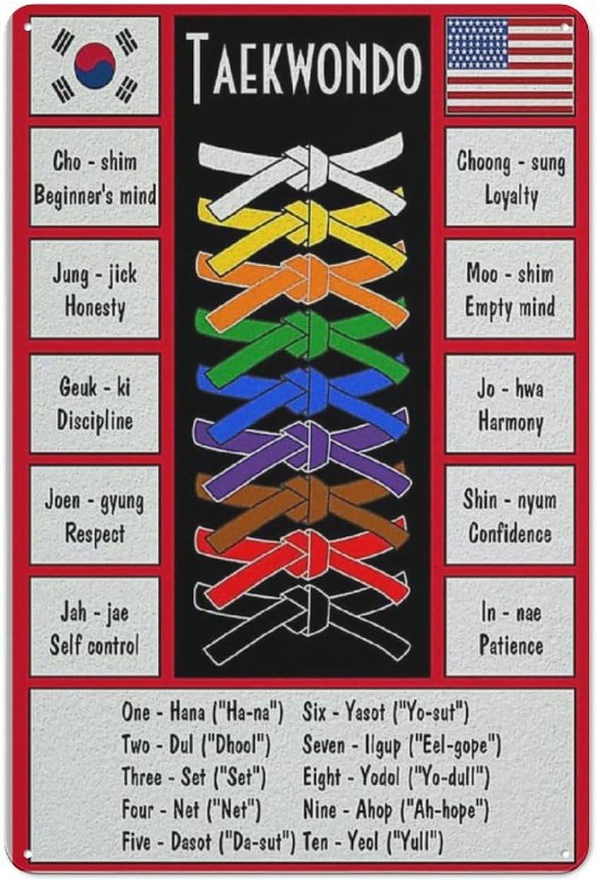 Taekwondo Knowledge Metal Sign - Science Hobbyist ulasan dan harga