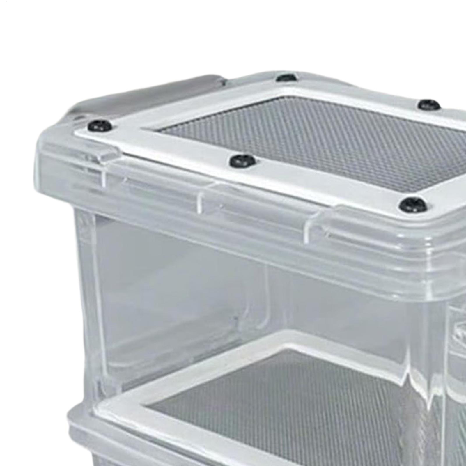 Mealworm Breeding Kit 3-Layer  - Science Hobbyist ulasan dan harga